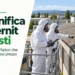 Costi per la bonifica dell'amianto